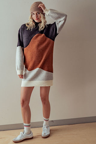 Heavy Knit ColorBlock Sweater Dress