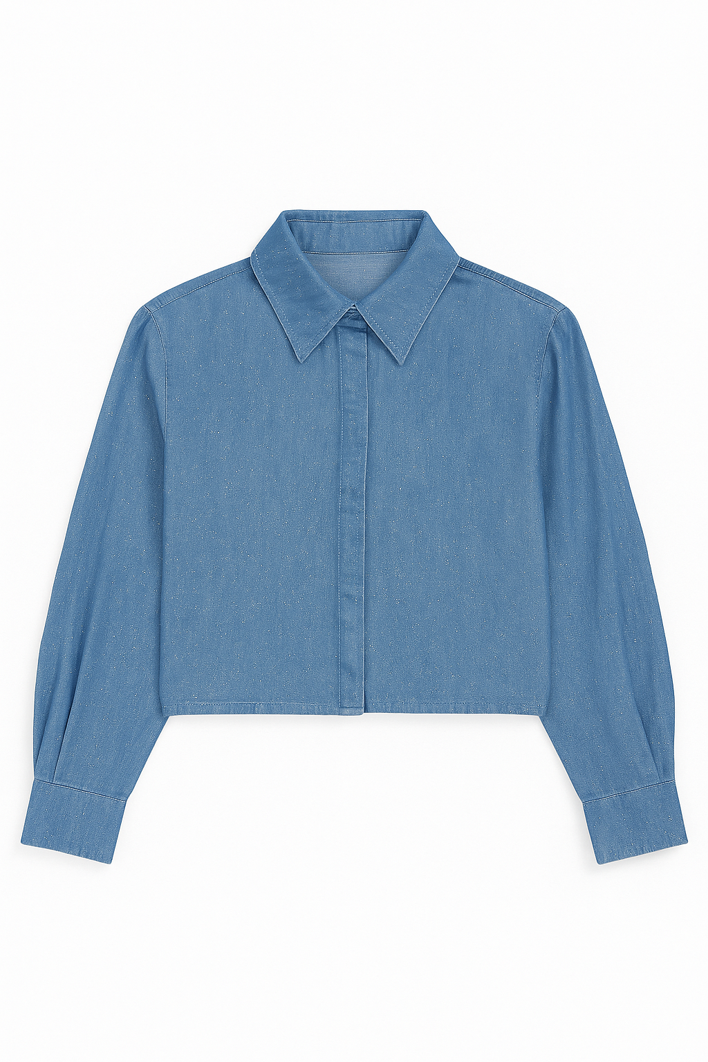 Sparkle Denim Long Sleeve Blouse