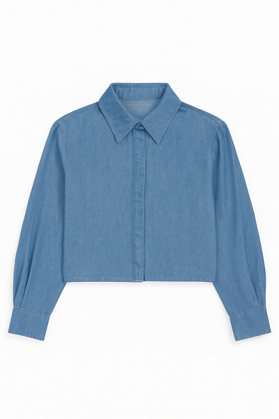 Sparkle Denim Long Sleeve Blouse