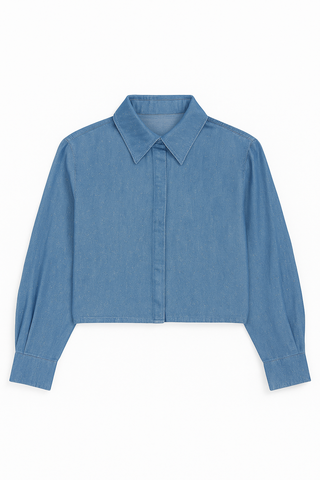 Sparkle Denim Long Sleeve Blouse