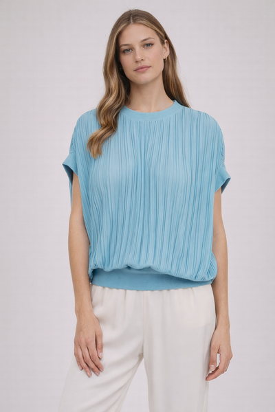 Pleated Dolman Sleeve Blouse