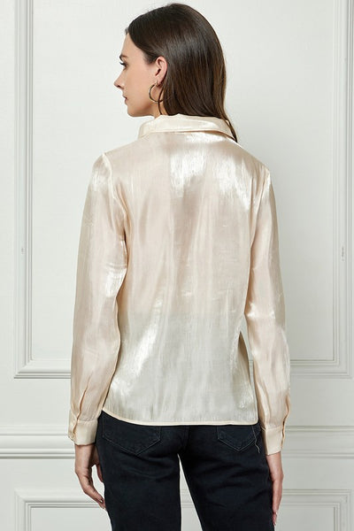 Organza Shiny Button Down Blouse