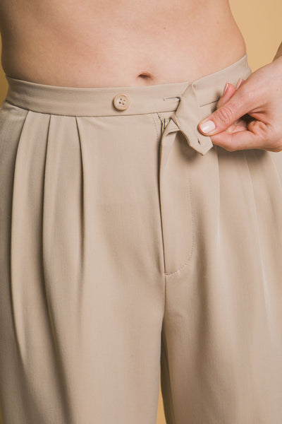 Pleats High-rise Wide Leg Pants