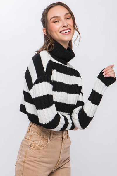 Turtleneck Striped Knit Cropped Sweater