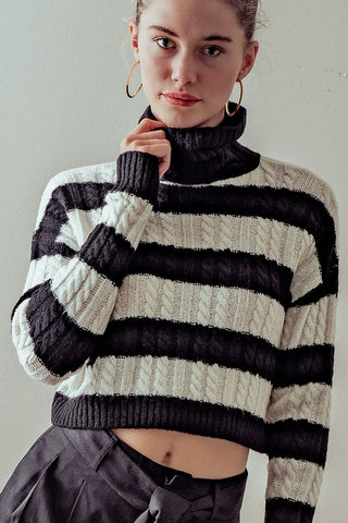 Turtleneck Striped Knit Cropped Sweater
