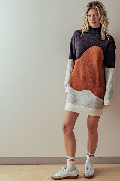 Heavy Knit ColorBlock Sweater Dress