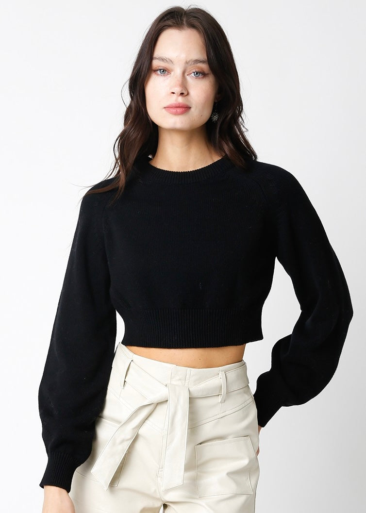 Bubble Sleeves Knit Crop Sweater