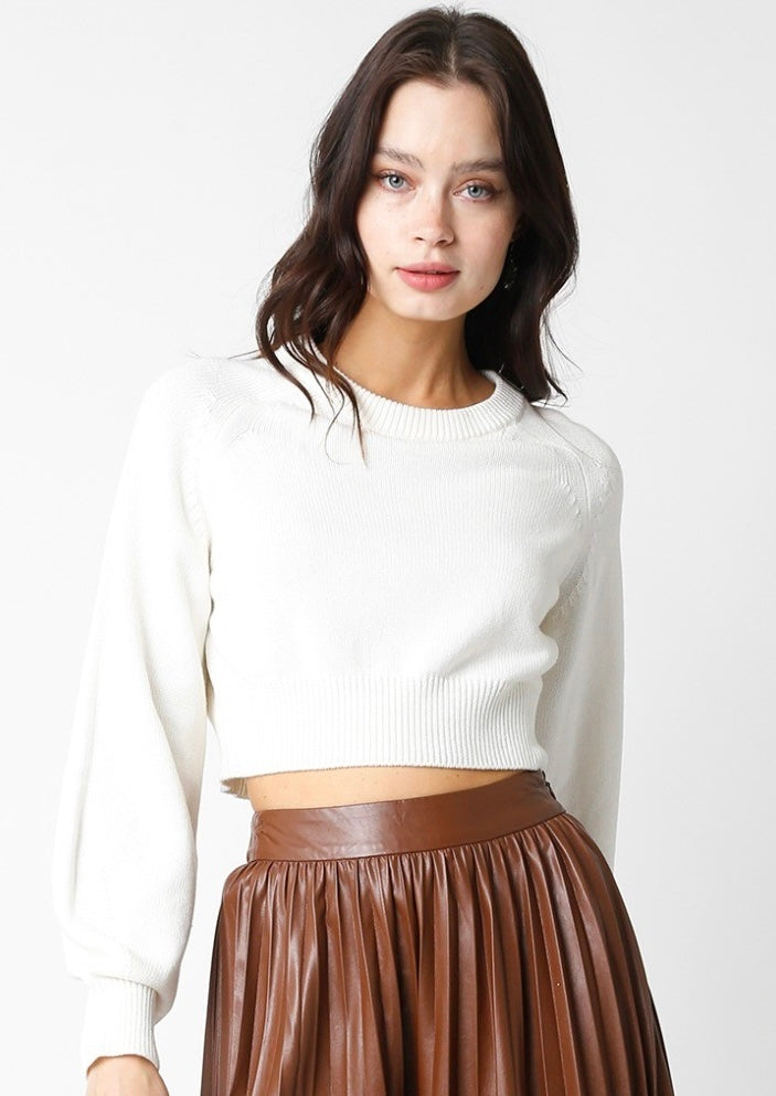 Bubble Sleeves Knit Crop Sweater