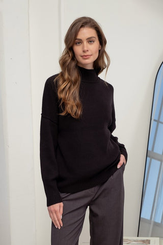 Turtle Neck Ribbed Knit Sweater