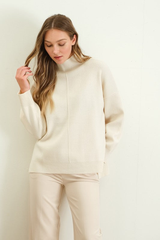 Turtle Neck Heavy Knit Sweater