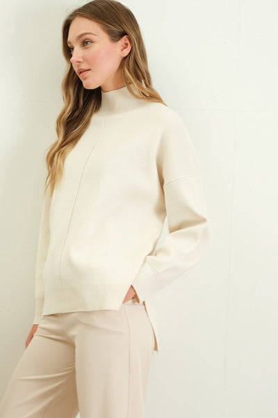 Turtle Neck Heavy Knit Sweater