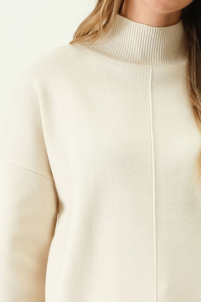 Turtle Neck Heavy Knit Sweater