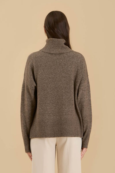 Turtle Neck Heavy Knit Sweater