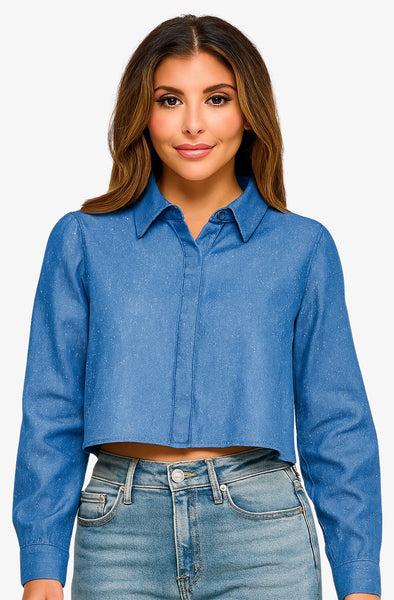 Sparkle Denim Long Sleeve Blouse