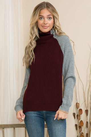 TurtleNeck Color Block Sweater